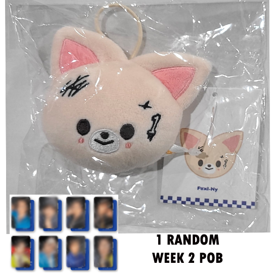 Stray Kids Skzoo Name Tag (Karma) POP UP