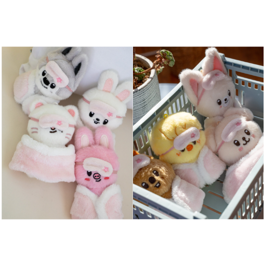 Stray Kids Skzoo Plush 10cm - Stay in Our House