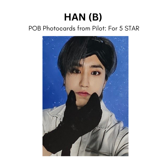Stray Kids POB Photocards from Pilot: For 5STAR