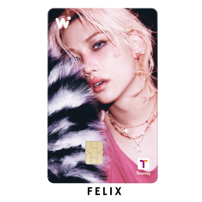 Stray Kids Wowpass DO IT