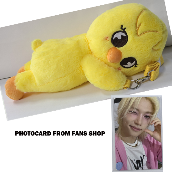 Stray Kids SKZOO Plush Bag celebrATE ( with Photocard from FANS)