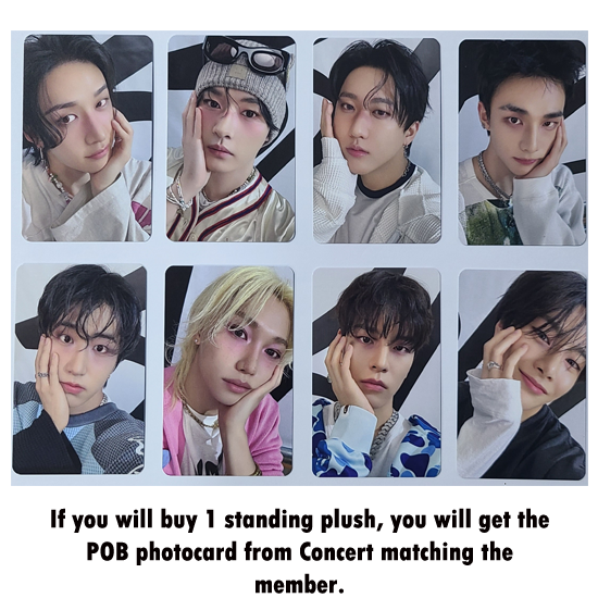 Stray Kids Skzoo Plush Standing - celebrATE ( From Concert)