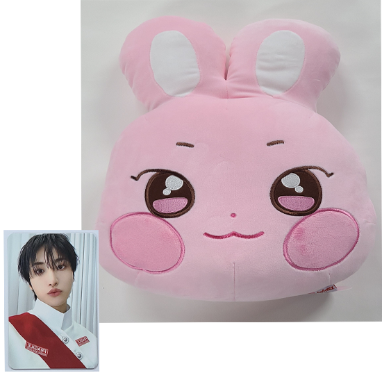 Ateez Aniteez Ice In The City Plush Cushion
