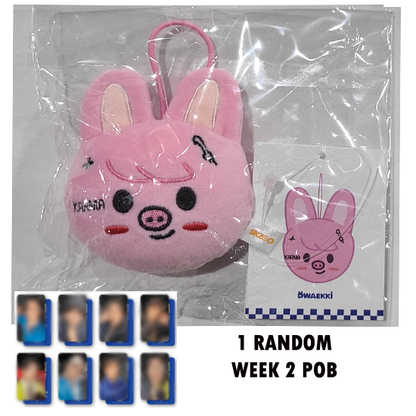 Stray Kids Skzoo Name Tag (Karma) POP UP