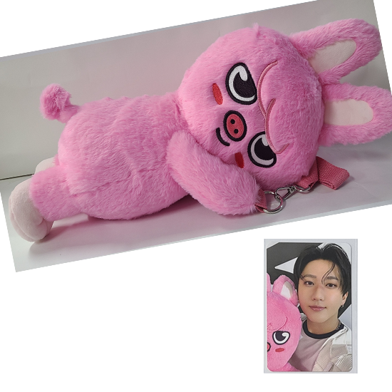skzoo plush bag ポガリ SKZOO ポガリ BAG Photocard from QUOKKA