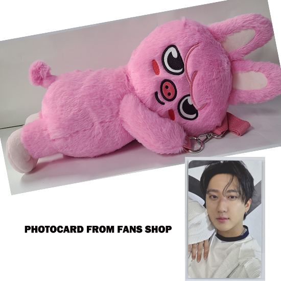 Stray Kids SKZOO Plush Bag celebrATE ( with Photocard from FANS)