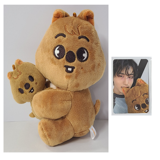 Stray Kids Skzoo Magnet Plush Set  - celebrATE ( Photocard from Pop Up)