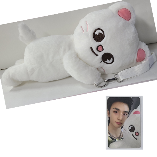 Stray Kids SKZOO Plush Bag celebrATE ( with Photocard from POP UP)