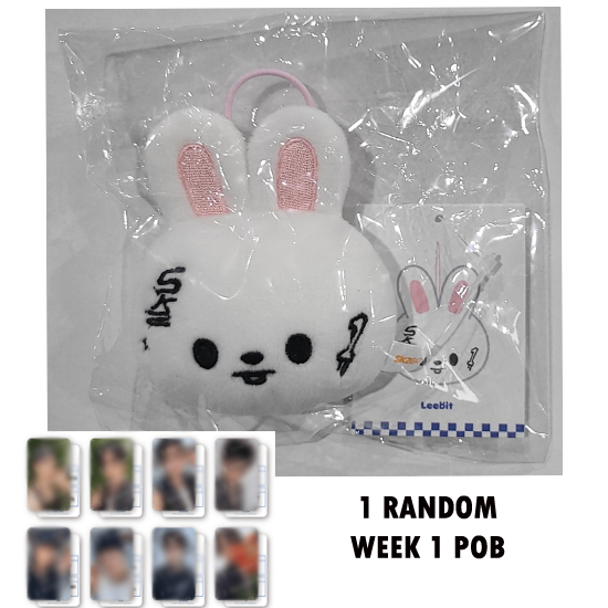 Stray Kids Skzoo Name Tag (Karma) POP UP