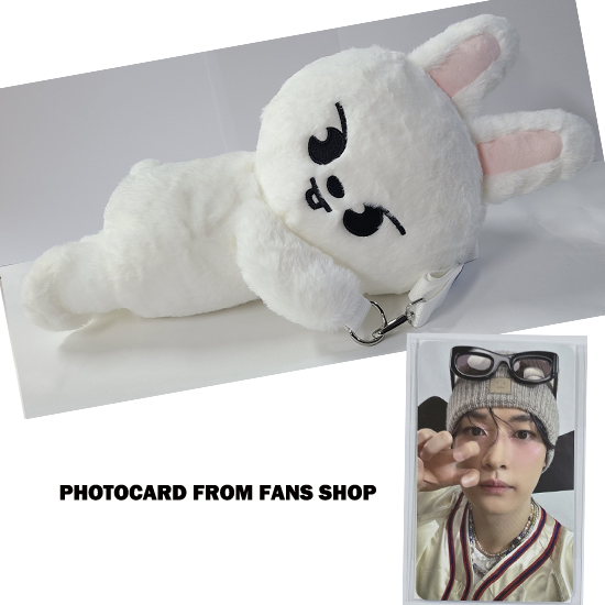 Stray Kids SKZOO Plush Bag celebrATE ( with Photocard from FANS)
