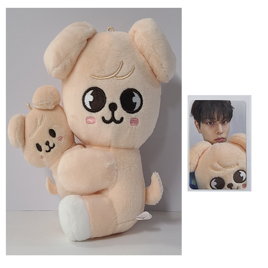 Stray Kids Skzoo Magnet Plush Set  - celebrATE ( Photocard from Pop Up)