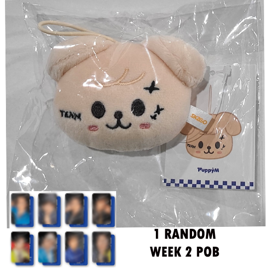 Stray Kids Skzoo Name Tag (Karma) POP UP