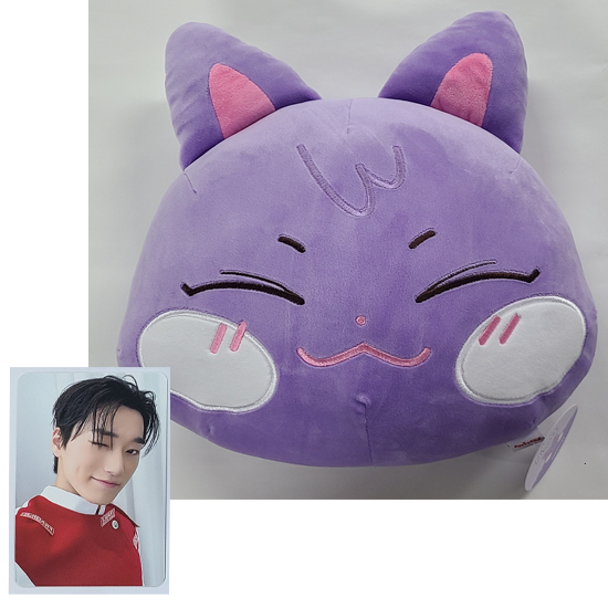 Ateez Aniteez Ice In The City Plush Cushion