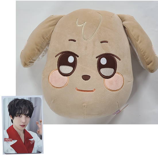 Ateez Aniteez Ice In The City Plush Cushion
