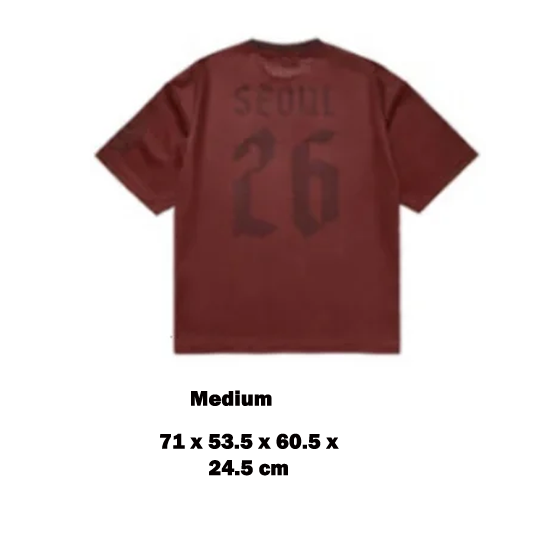 BTS Arirang Seoul Tour Jersey
