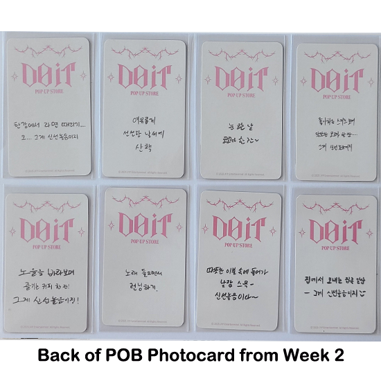 Stray Kids Soft Face Badge & SKZOO Cover Set - DO IT