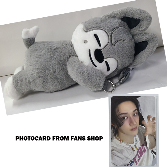 Stray Kids SKZOO Plush Bag celebrATE ( with Photocard from FANS)