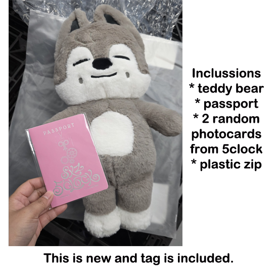 Stray Kids SKZOO PLUSH TEDDYBEAR Ver. - SKZ 5'clock – MrsMunKorea Shop