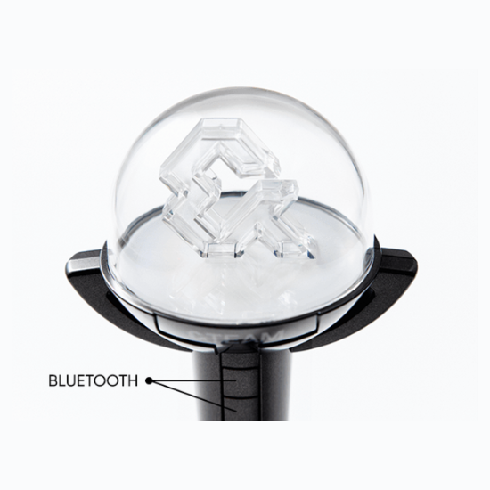&TEAM Official Light Stick